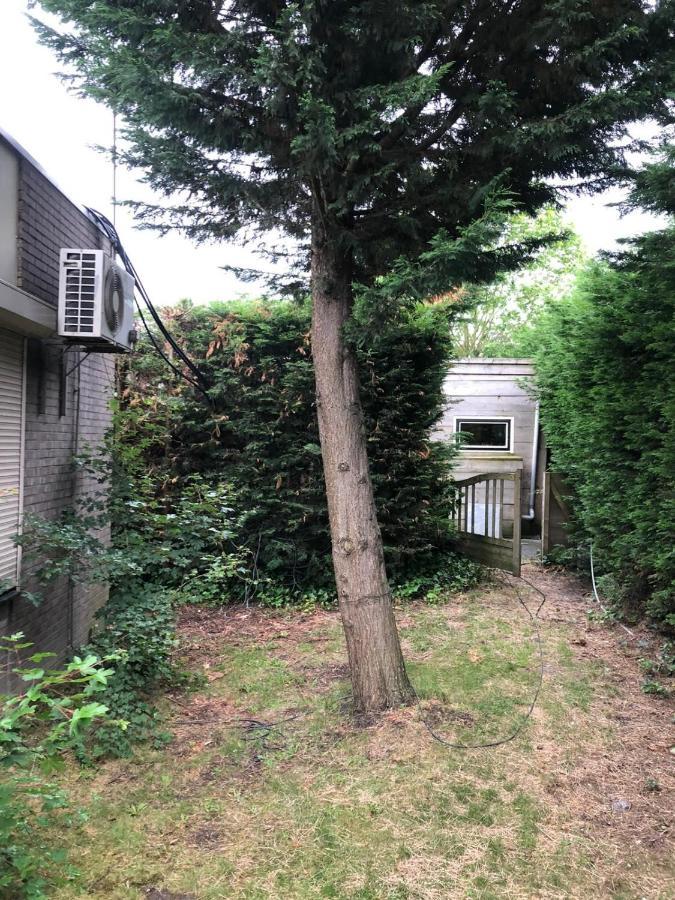Knus Appartement Aan De Kust Strand Zee Havens イアーセーケ エクステリア 写真